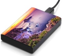 meSleep HD34161 Hard Disk Skin(Multicolor)   Laptop Accessories  (meSleep)