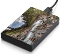 meSleep HD33357 Hard Disk Skin(Multicolor)   Laptop Accessories  (meSleep)