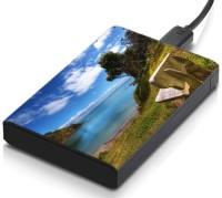 meSleep HD42019 Hard Disk Skin(Multicolor)   Laptop Accessories  (meSleep)