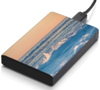 meSleep HD44187 Hard Disk Skin(Multicolor)   Laptop Accessories  (meSleep)