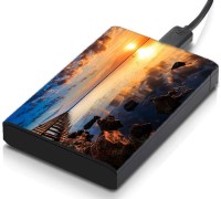 meSleep HD41078 Hard Disk Skin(Multicolor)   Laptop Accessories  (meSleep)