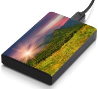 meSleep HD43230 Hard Disk Skin(Multicolor)   Laptop Accessories  (meSleep)