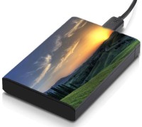 meSleep HD46092 Hard Disk Skin(Multicolor)   Laptop Accessories  (meSleep)