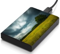 meSleep HD43183 Hard Disk Skin(Multicolor)   Laptop Accessories  (meSleep)