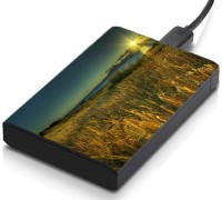 meSleep HD43047 Hard Disk Skin(Multicolor)   Laptop Accessories  (meSleep)