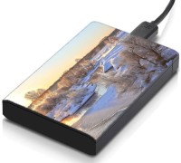 meSleep HD36164 Hard Disk Skin(Multicolor)   Laptop Accessories  (meSleep)