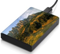 meSleep HD38065 Hard Disk Skin(Multicolor)   Laptop Accessories  (meSleep)