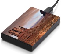 meSleep HD21105 Hard Disk Skin(Multicolor)   Laptop Accessories  (meSleep)