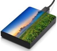 meSleep HD37022 Hard Disk Skin(Multicolor)   Laptop Accessories  (meSleep)