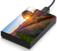meSleep HD38170 Hard Disk Skin(Multicolor)   Laptop Accessories  (meSleep)
