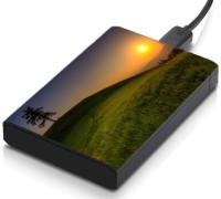 meSleep HD46099 Hard Disk Skin(Multicolor)   Laptop Accessories  (meSleep)