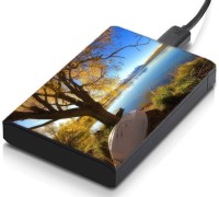 meSleep HD31049 Hard Disk Skin(Multicolor)   Laptop Accessories  (meSleep)