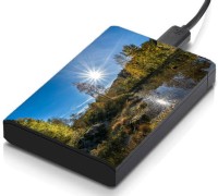 meSleep HD37085 Hard Disk Skin(Multicolor)   Laptop Accessories  (meSleep)