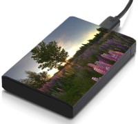 meSleep HD30135 Hard Disk Skin(Multicolor)   Laptop Accessories  (meSleep)