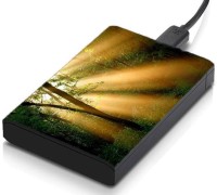 meSleep HD30327 Hard Disk Skin(Multicolor)   Laptop Accessories  (meSleep)
