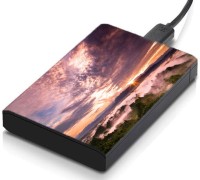 meSleep HD46223 Hard Disk Skin(Multicolor)   Laptop Accessories  (meSleep)