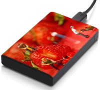 meSleep HD1643 Hard Disk Skin(Multicolor)   Laptop Accessories  (meSleep)