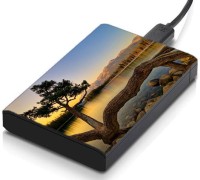 meSleep HD30201 Hard Disk Skin(Multicolor)   Laptop Accessories  (meSleep)