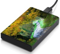 meSleep HD30052 Hard Disk Skin(Multicolor)   Laptop Accessories  (meSleep)