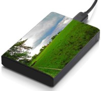 meSleep HD34267 Hard Disk Skin(Multicolor)   Laptop Accessories  (meSleep)