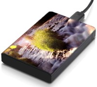 meSleep HD33270 Hard Disk Skin(Multicolor)   Laptop Accessories  (meSleep)
