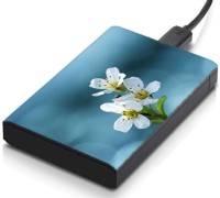 meSleep HD35060 Hard Disk Skin(Multicolor)   Laptop Accessories  (meSleep)
