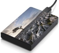 meSleep HD34062 Hard Disk Skin(Multicolor)   Laptop Accessories  (meSleep)