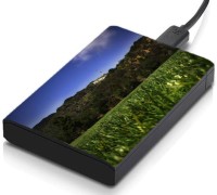 meSleep HD30021 Hard Disk Skin(Multicolor)   Laptop Accessories  (meSleep)