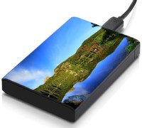 meSleep HD30329 Hard Disk Skin(Multicolor)   Laptop Accessories  (meSleep)
