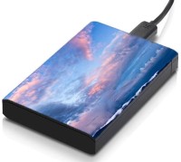 meSleep HD43168 Hard Disk Skin(Multicolor)   Laptop Accessories  (meSleep)