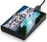 meSleep HD44151 Hard Disk Skin(Multicolor)   Laptop Accessories  (meSleep)