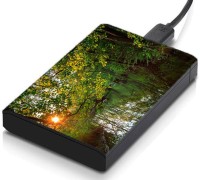meSleep HD30169 Hard Disk Skin(Multicolor)   Laptop Accessories  (meSleep)