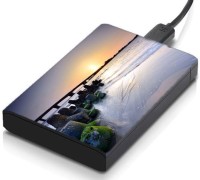 meSleep HD46086 Hard Disk Skin(Multicolor)   Laptop Accessories  (meSleep)