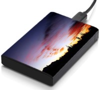 meSleep HD28167 Hard Disk Skin(Multicolor)   Laptop Accessories  (meSleep)