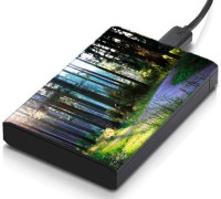 meSleep HD39036 Hard Disk Skin(Multicolor)   Laptop Accessories  (meSleep)