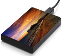 meSleep HD36255 Hard Disk Skin(Multicolor)   Laptop Accessories  (meSleep)