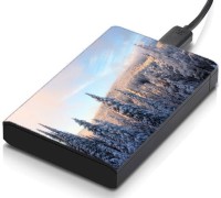 meSleep HD30352 Hard Disk Skin(Multicolor)   Laptop Accessories  (meSleep)