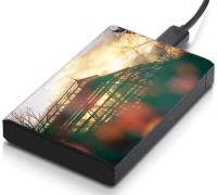 meSleep HD2349 Hard Disk Skin(Multicolor)   Laptop Accessories  (meSleep)