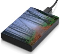 meSleep HD39092 Hard Disk Skin(Multicolor)   Laptop Accessories  (meSleep)