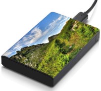 meSleep HD30308 Hard Disk Skin(Multicolor)   Laptop Accessories  (meSleep)