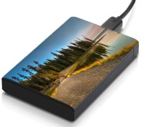 meSleep HD43140 Hard Disk Skin(Multicolor)   Laptop Accessories  (meSleep)