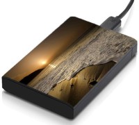 meSleep HD46170 Hard Disk Skin(Multicolor)   Laptop Accessories  (meSleep)