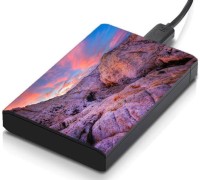 meSleep HD46222 Hard Disk Skin(Multicolor)   Laptop Accessories  (meSleep)