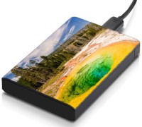 meSleep HD45144 Hard Disk Skin(Multicolor)   Laptop Accessories  (meSleep)
