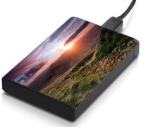 meSleep HD32156 Hard Disk Skin(Multicolor)   Laptop Accessories  (meSleep)