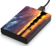 meSleep HD46211 Hard Disk Skin(Multicolor)   Laptop Accessories  (meSleep)