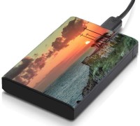 meSleep HD30111 Hard Disk Skin(Multicolor)   Laptop Accessories  (meSleep)