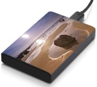 meSleep HD46173 Hard Disk Skin(Multicolor)   Laptop Accessories  (meSleep)