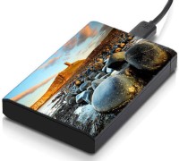 meSleep HD33247 Hard Disk Skin(Multicolor)   Laptop Accessories  (meSleep)