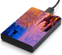meSleep HD42302 Hard Disk Skin(Multicolor)   Laptop Accessories  (meSleep)